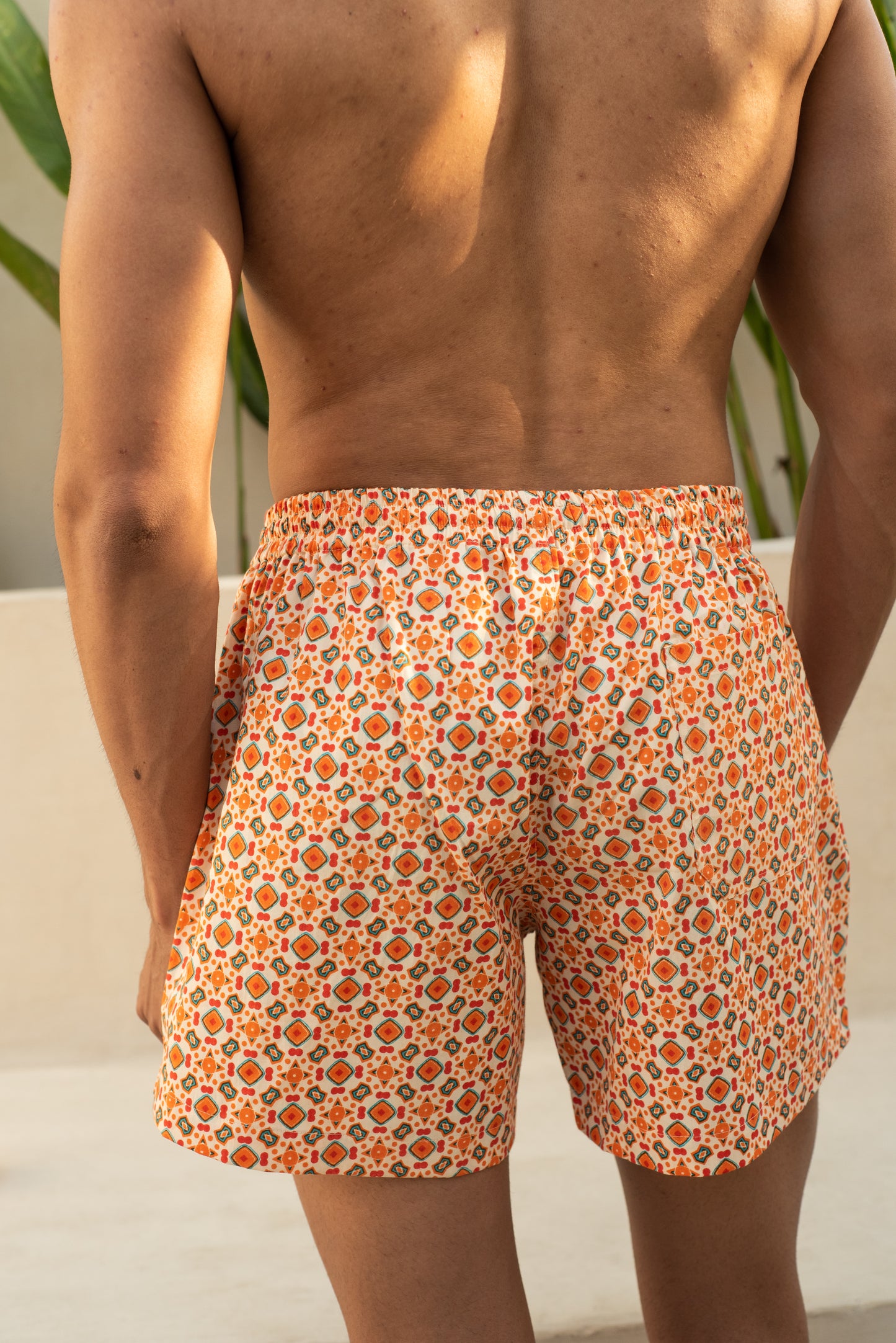 Tara Swim Shorts