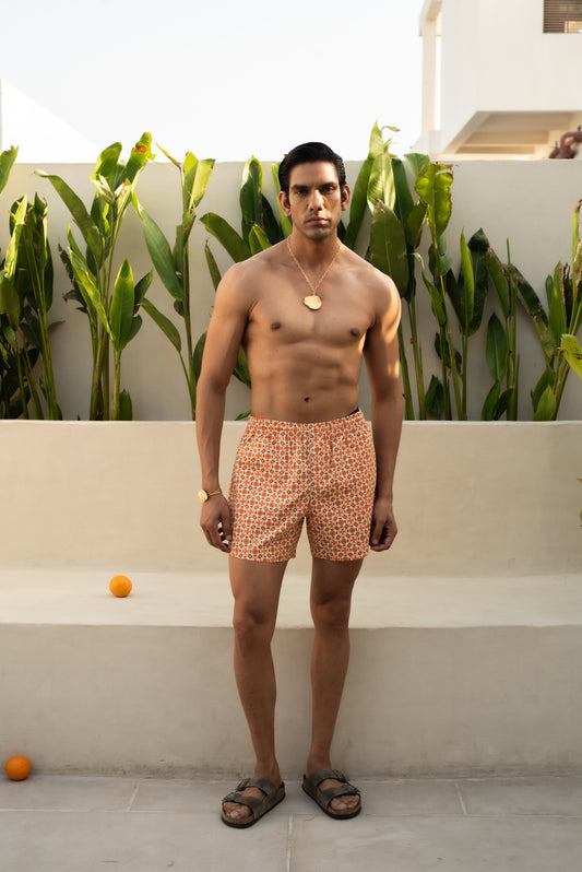 Tara Swim Shorts